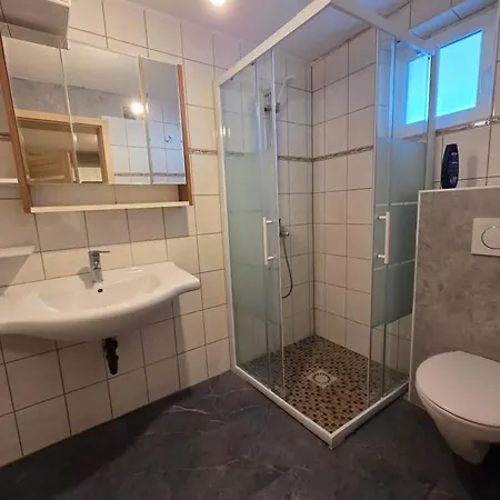 Appartement Schwanenstadt Exterior photo