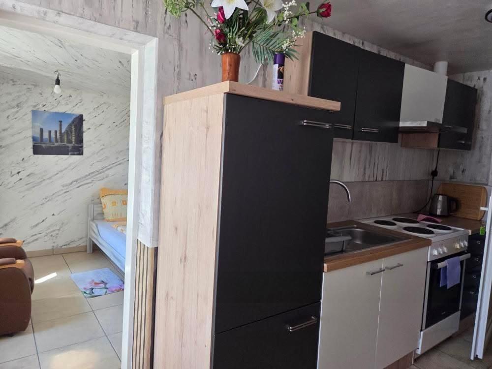 Appartement Schwanenstadt Apartment