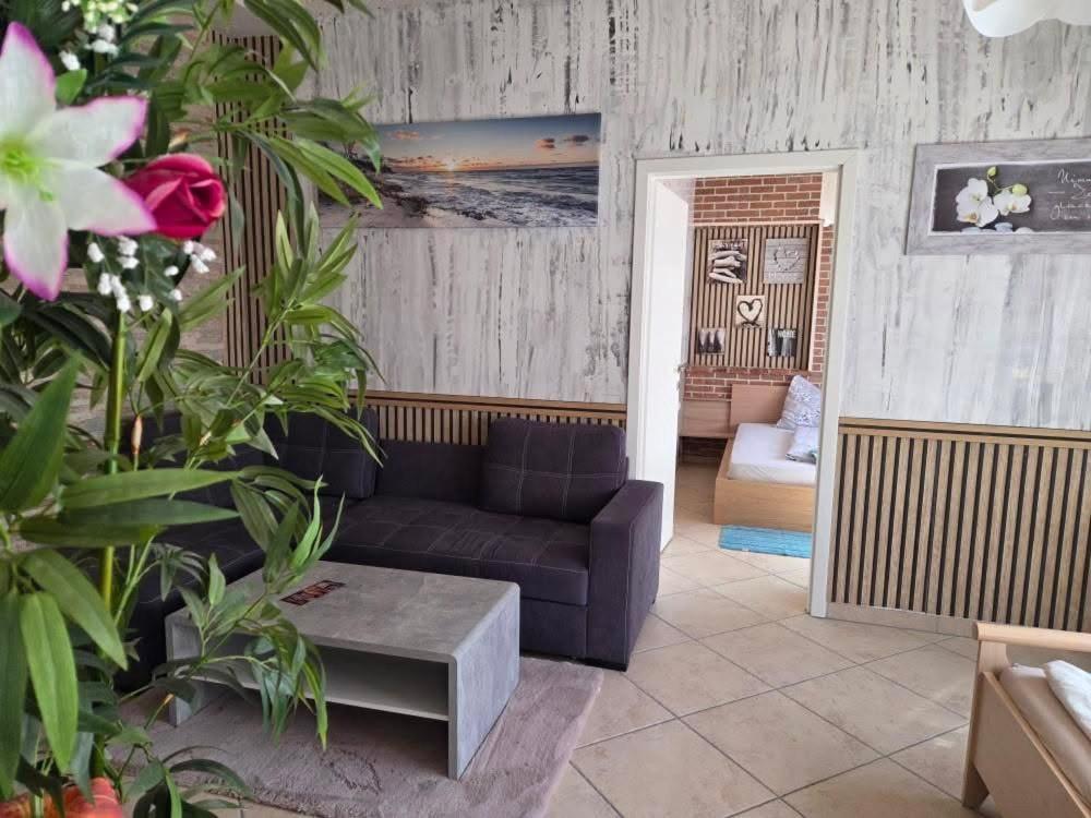 Appartement Schwanenstadt Apartment *