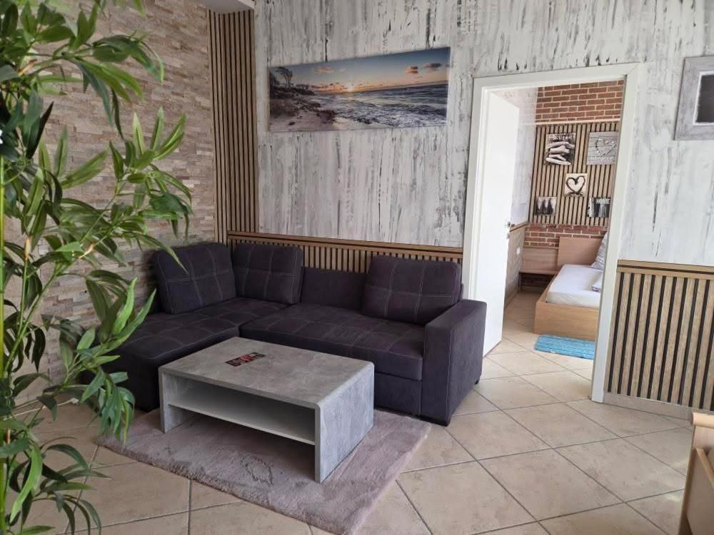 Apartment Appartement Schwanenstadt Schwanenstadt